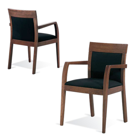 Modern chairs : Fiona Arm