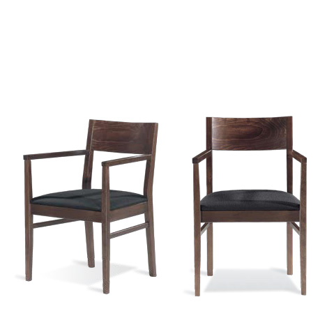 Modern chairs : Puma Arm